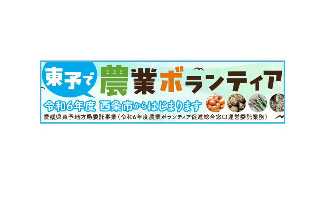 東予で農業有償ボランティア募集中!